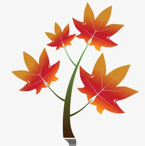 枫叶,叶子,卡通,手绘,树枝,漂浮