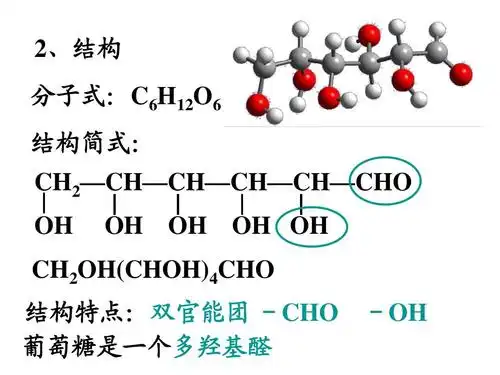 必修二_有机部分_糖类,蛋白质ppt课件 2水,构结 子分式:6ch21o 结6简