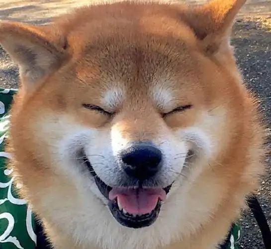 笑一笑没什么大不了