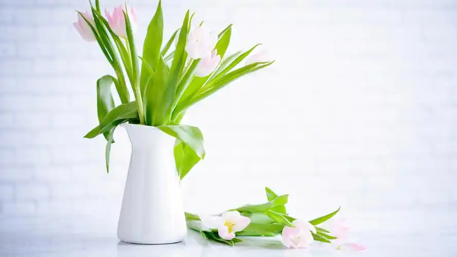 小清新花瓶花束静物摄影高清宽屏桌面壁纸