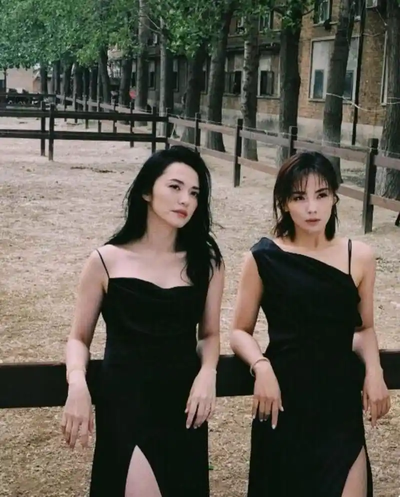 姚晨刘涛同框,两美女美得各有特色,一个优雅大气,一个温柔知性