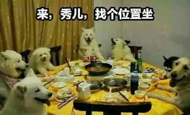 来,秀儿,换个位置坐下 - 斗图表情包 - 金馆长表情库 - 真正的斗图