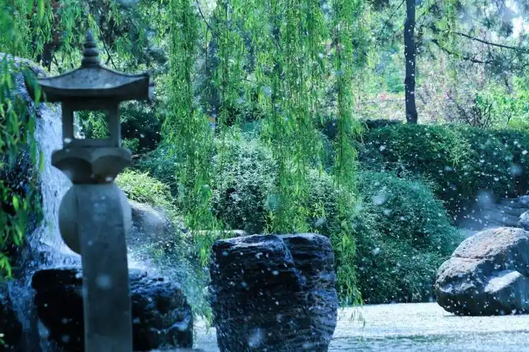 柳絮纷飞的季节告别肌肤干燥敏感