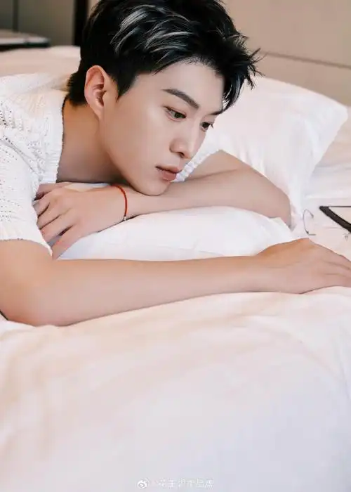 范丞丞碧柔品牌代言人