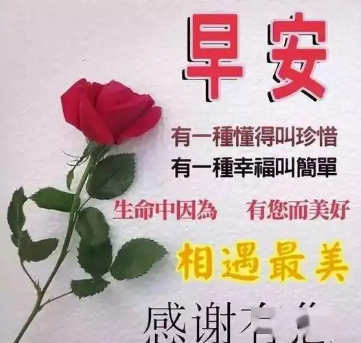 微信群发早上好问候语表情包动态图片鲜花带字清早早上好问候语