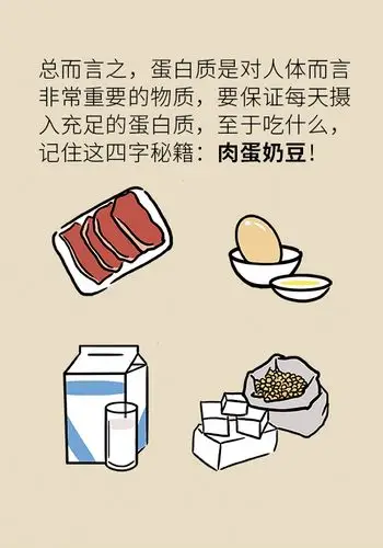 蛋白质,你今天吃了吗?_丁冰杰