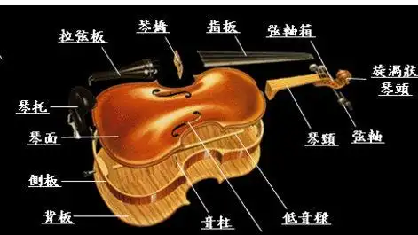 小提琴入门:小提琴结构示意图