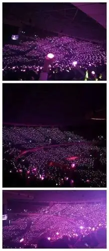 鹿晗演唱个别歌曲时,台下粉丝统一举起红色应援物,更换红海.