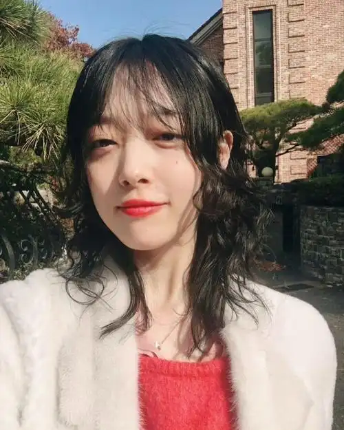 崔雪莉 头像 /图源见logo 676767侵删