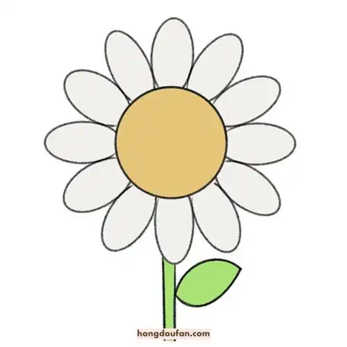 6只可爱的小花朵幼儿卡通简笔画雏菊玫瑰花要怎么画