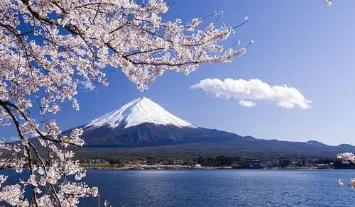 琵琶湖,是日本最大的湖泊,具有日本特色的风景