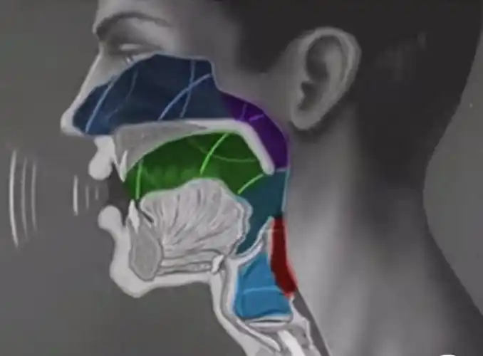 ""鼻咽腔共鸣""头腔共鸣"等等,也会经常听到关于各种位置共鸣的训练