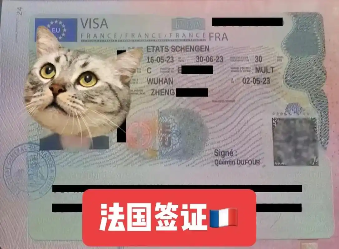 法国签证 专场.#申根签证 #法国签证  今天是法签专场, - 抖音