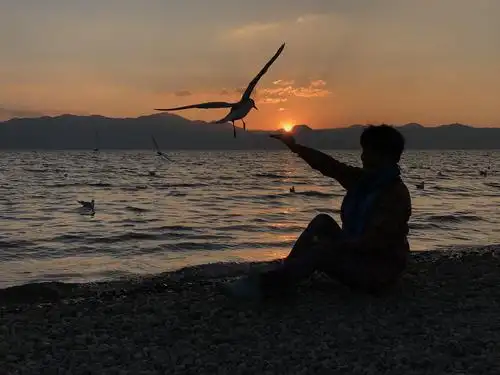 海鸥有海,日落有你