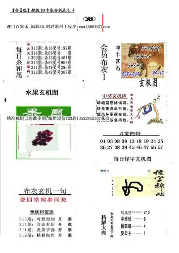 真精华会员布衣1