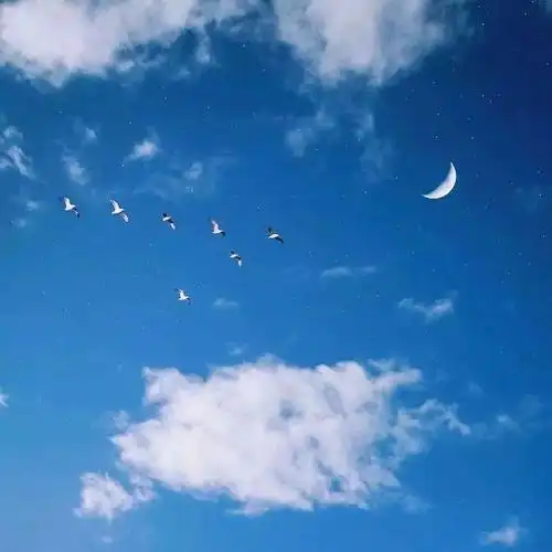 壁纸| 来康康ins热门背景图吧