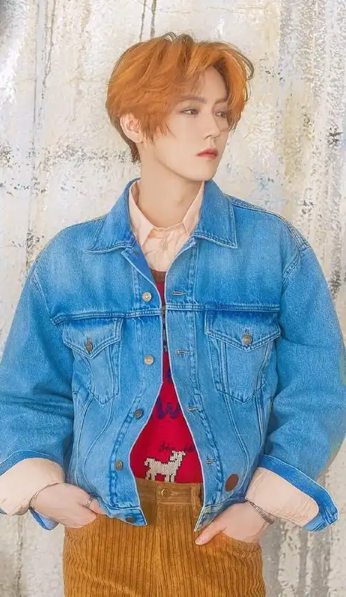 2020年9月13日 21:03   关注  壁纸 鹿晗 评论 收藏