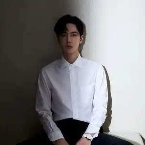 王一博同款polo白色商务职业正装衬衫禁欲系西装长袖衬衣男上衣服