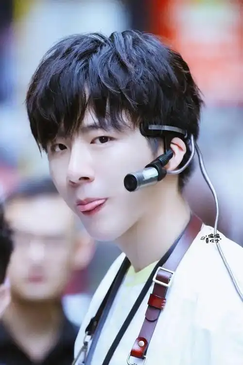 收集刘宇宁的照片