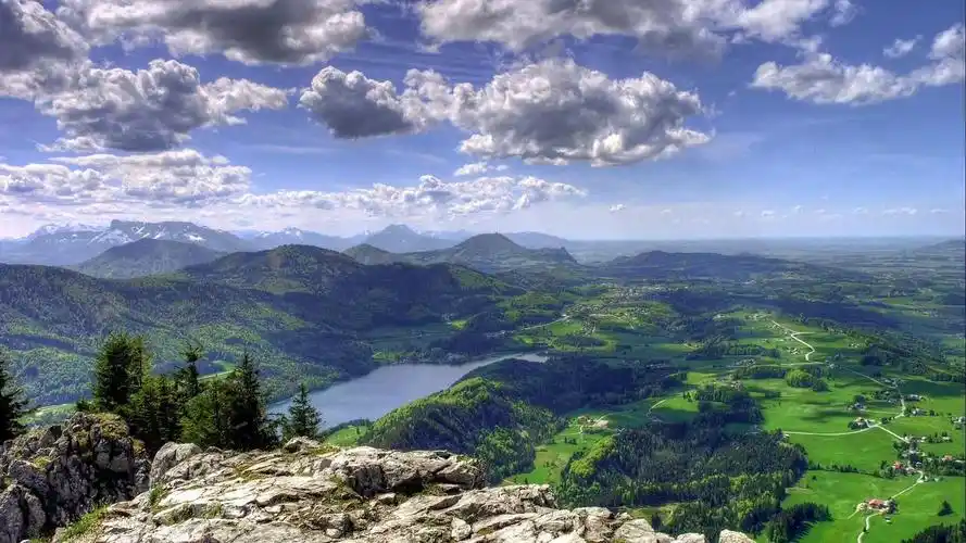 选择闪婚的菲菲理想丰富,现实也不骨感,但结局却扎心