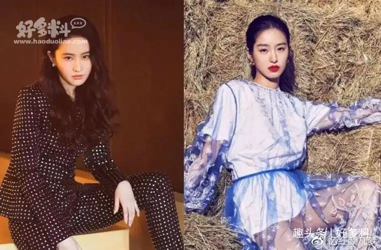 刘亦菲和杨采钰是什么关系 两个人的长相为何如此相似