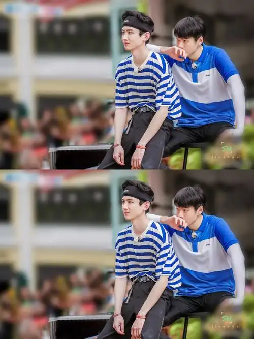 白敬亭/魏大勋 山花cp cr.logo