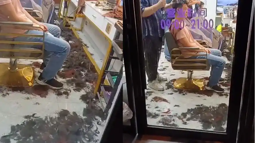 上海解封理发店人满为患,一天几百人地上全是碎发:推子要冒烟了