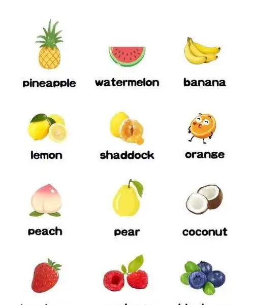许多水果用英语怎么读
