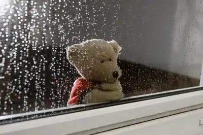 充满伤感回忆的图片