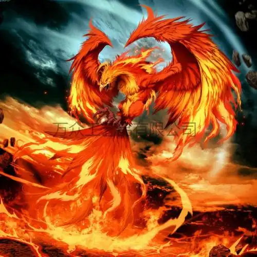 跨境专供热销爆款5d钻石画卡通 火焰红色火凤凰钻石画装饰画-阿里巴巴