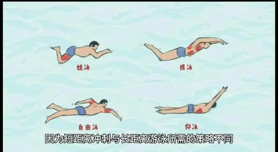 🏊♂️游泳新手的换气秘诀🌬️