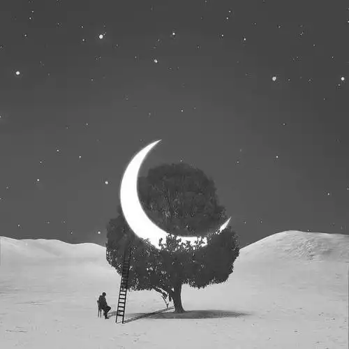 头像个性简约高冷有品位