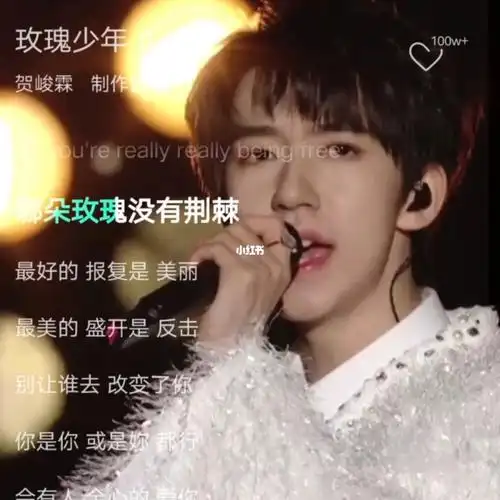 贺峻霖玫瑰少年