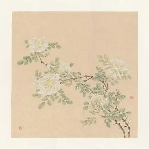 白蔷薇|纯艺术|国画|知末 - 原创作品 - 站酷 (zcool)