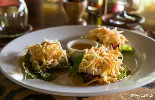 世界特色酒店图集——哥斯达黎加丛林酒店