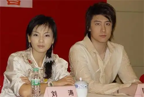 【图】陈司翰刘涛 戏里戏外左右逢源