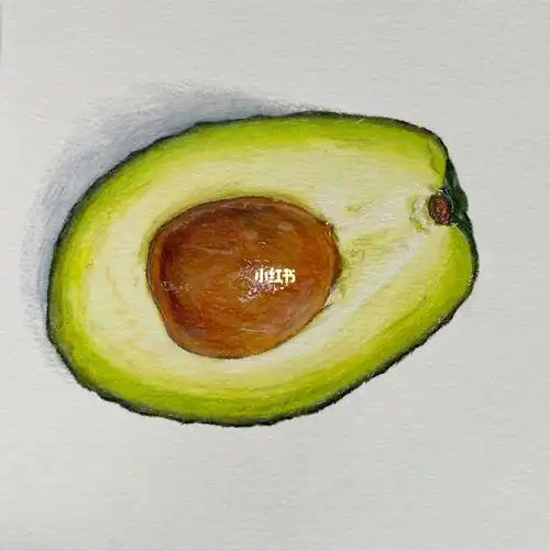 彩铅水果牛油果05