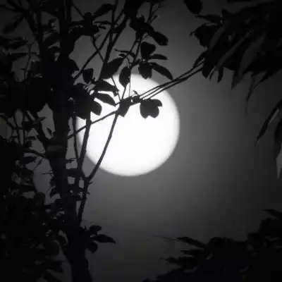 最新好看的治愈伤感头像孤独 治愈系又好看的风景头像_风景头像_美头