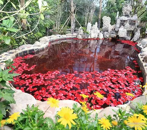 金色池塘发布抖音大赛点亮春城,上千网红踊跃报名!