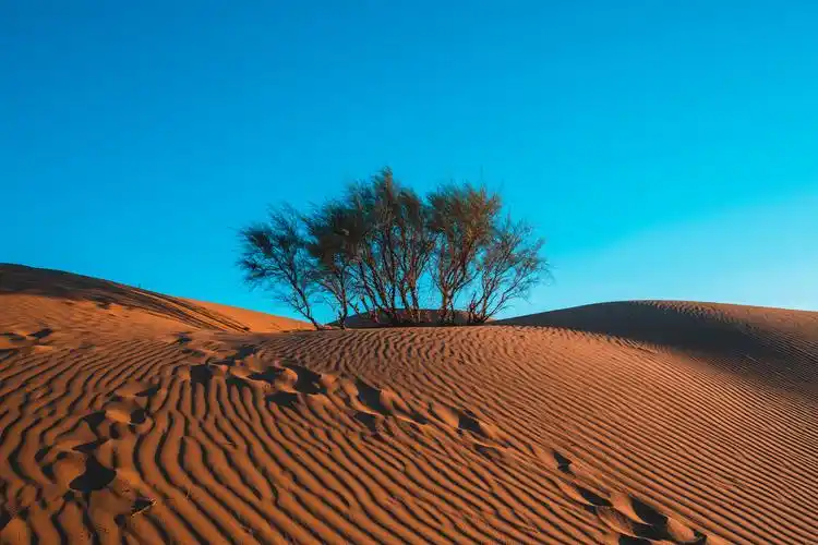 腾格里沙漠日落 - 李永远yuan - 图虫