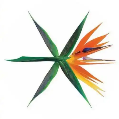 exo7月新专新logo