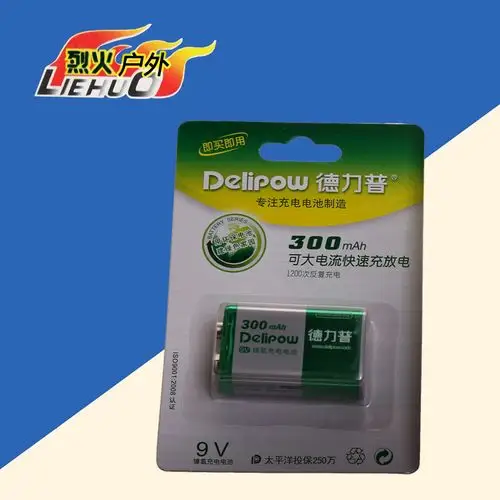 德力普 9v充电电池镍氢充电电池 大功率快速充电电池