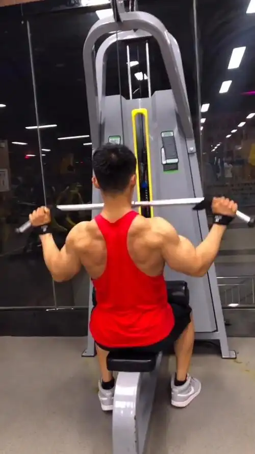 背阔肌训练,高位下拉