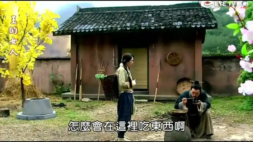 第26集 妙戈再遇罗丰#王的女人 #陈晓#袁姗姗