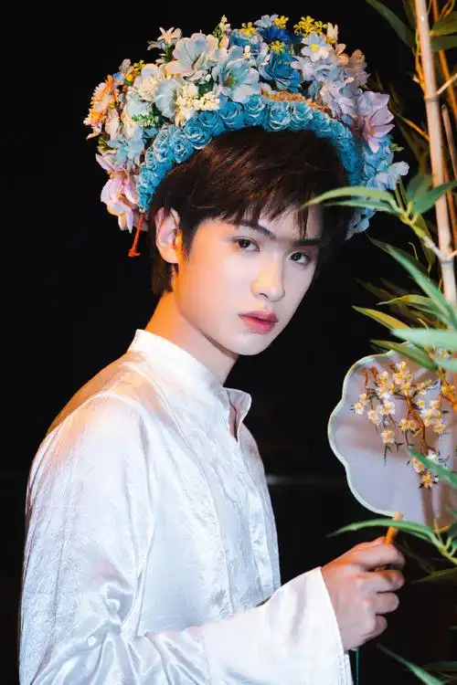 黄明昊穿马面裙簪花##黄明昊簪花图