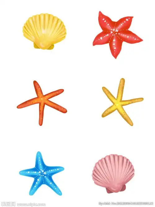 贝壳插画设计图__卡通设计_广告设计_设计图库_昵图网nipic.com