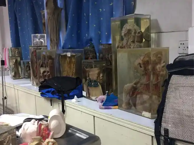 医学院的解剖教室是什么样子