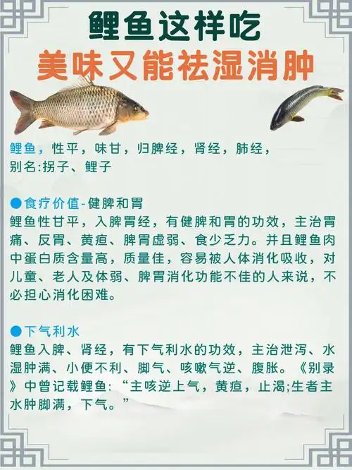 鲤鱼这么吃还能祛湿消肿78鲤鱼的食疗作用