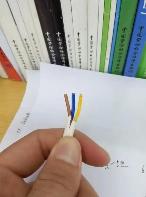 哪个是正极?哪个是负极?哪个是地线?