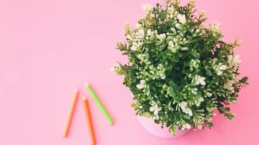 少女心壁纸【87】少女心壁纸图片_桌面壁纸图片_壁纸下载-元气壁纸